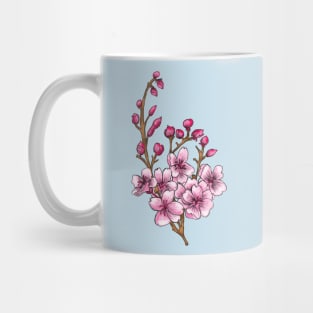 Sakura - Pink Cherry Blossom in Spring Mug